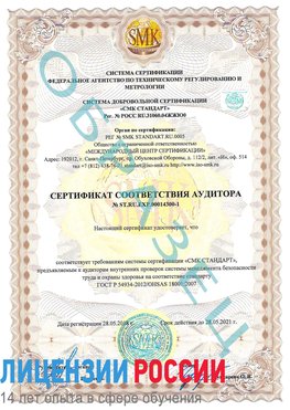 Образец сертификата соответствия аудитора №ST.RU.EXP.00014300-1 Чамзинка Сертификат OHSAS 18001
